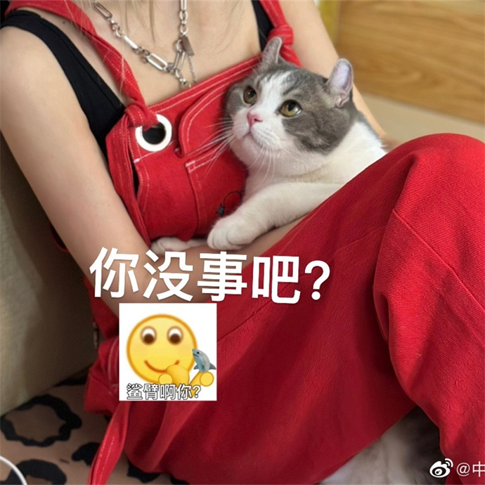 中岛莫之子i在哪里直播，是干什么的？